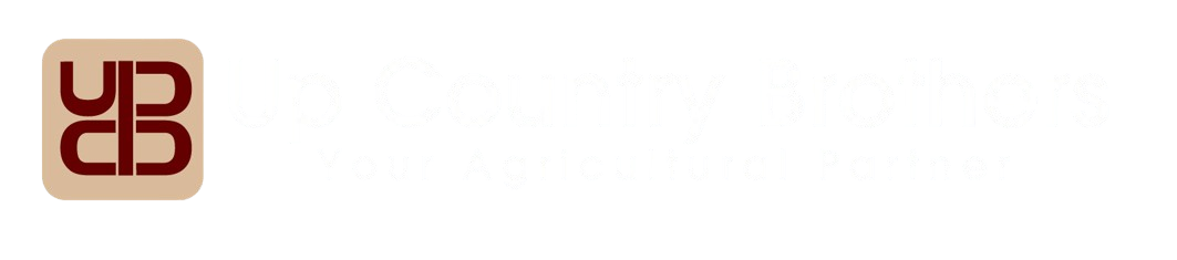 Up Country Brothers