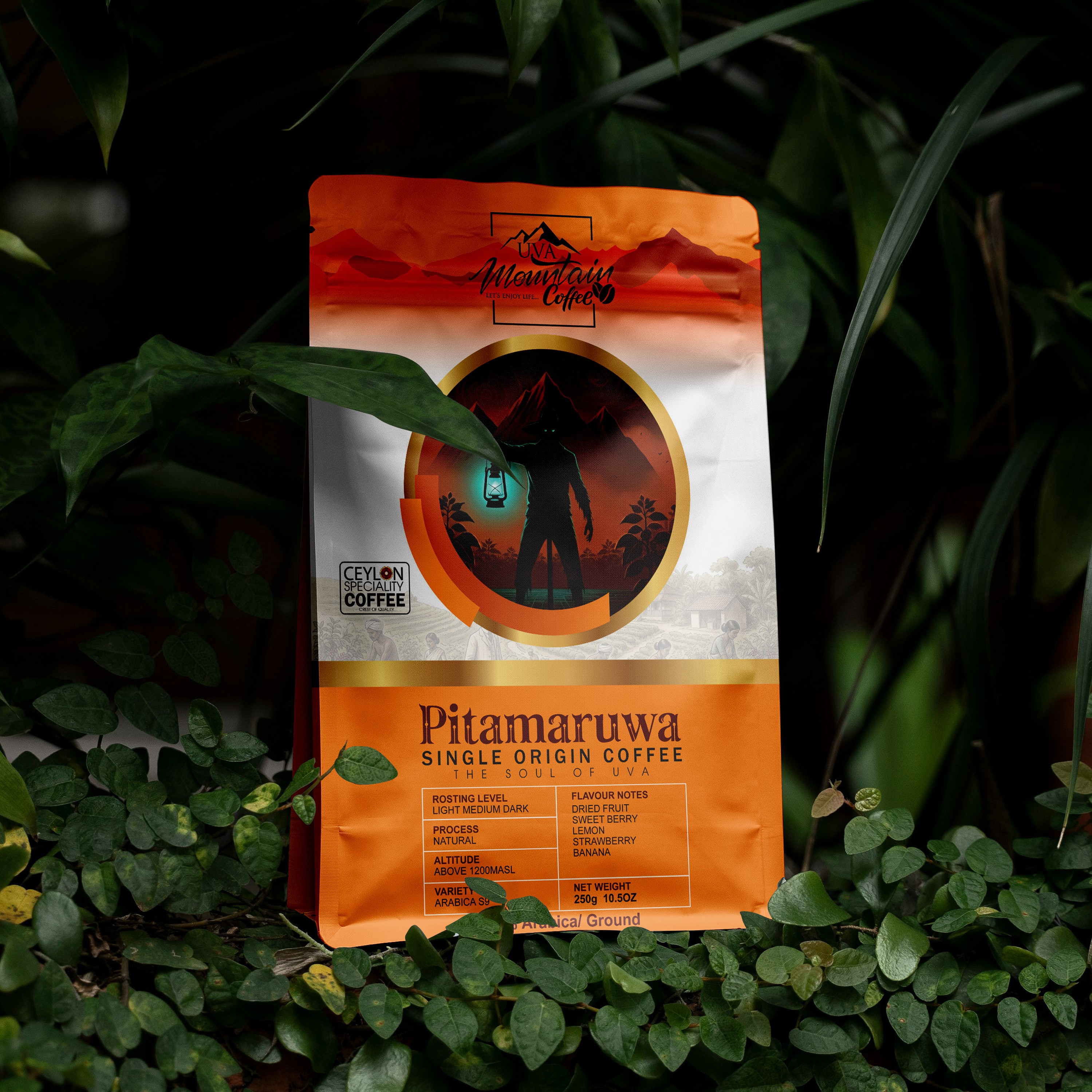 Pitamaruwa