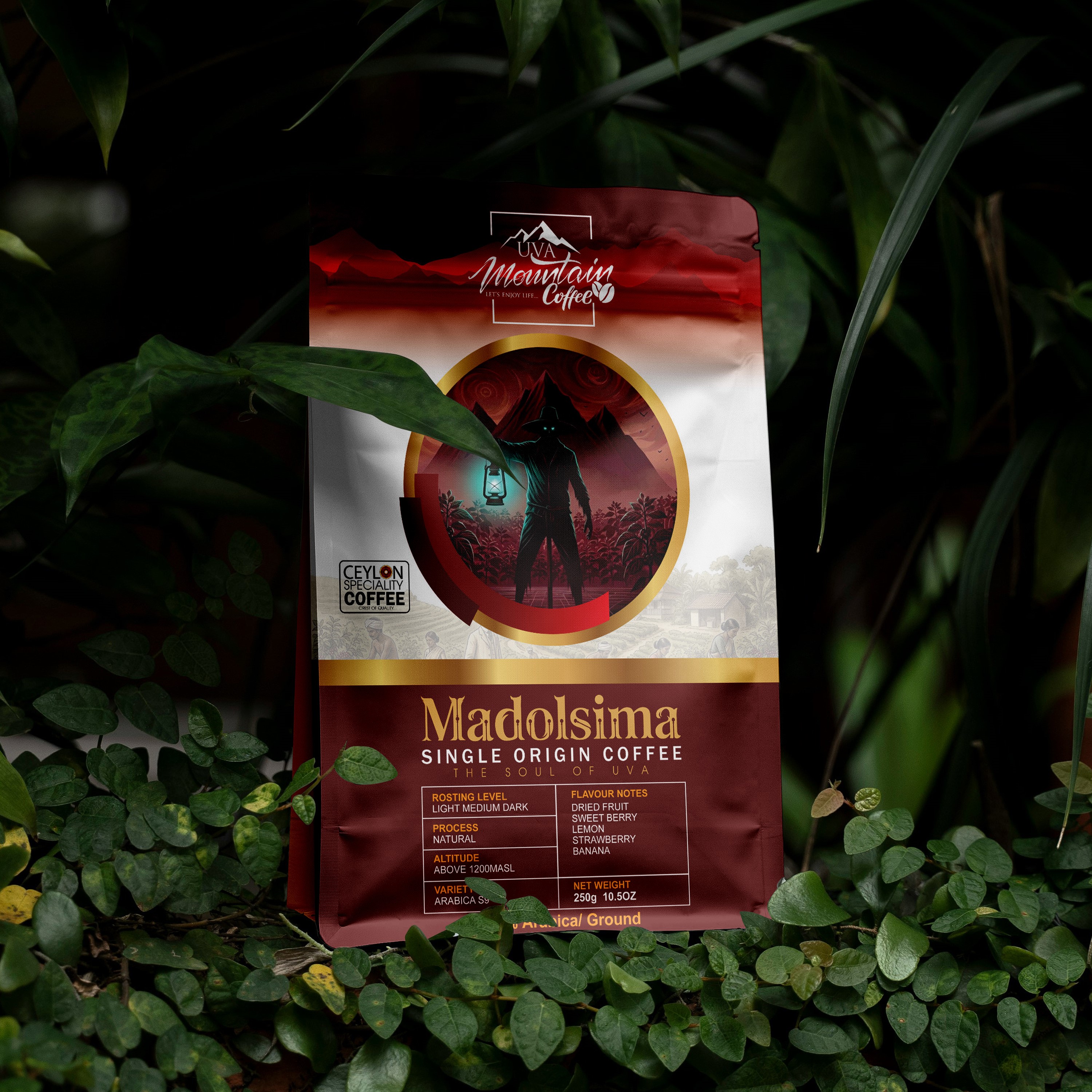 Madolsima Gold